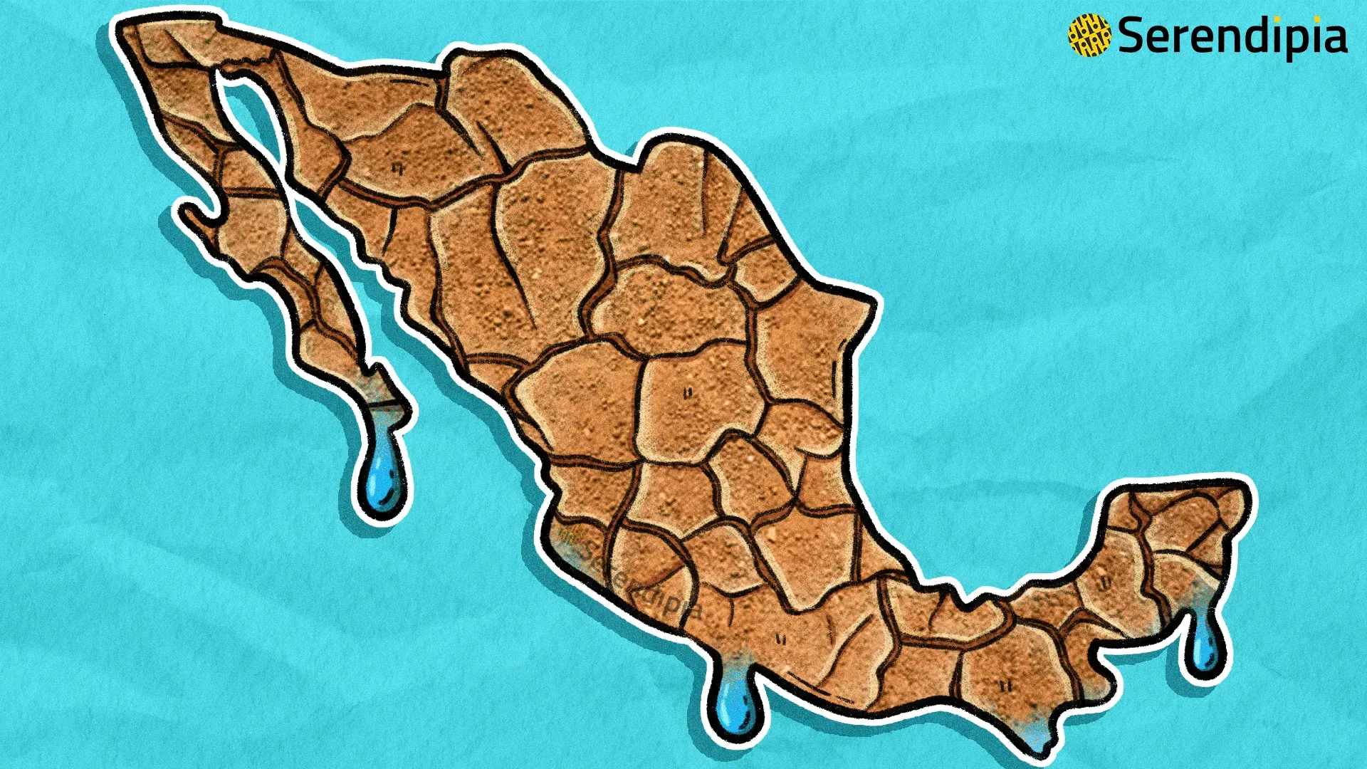 Crisis de agua en México estos son los estados más afectados